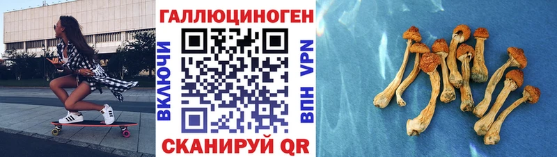 Галлюциногенные грибы MAGIC MUSHROOMS  хочу наркоту  Десногорск 